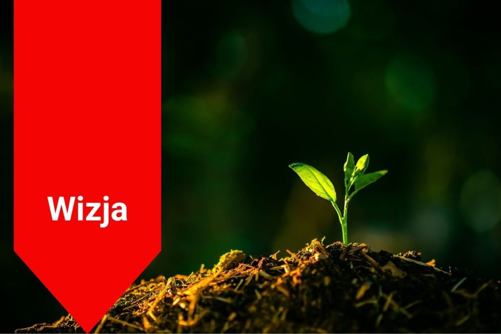 rosnąca roślina jako symbol przyszłości