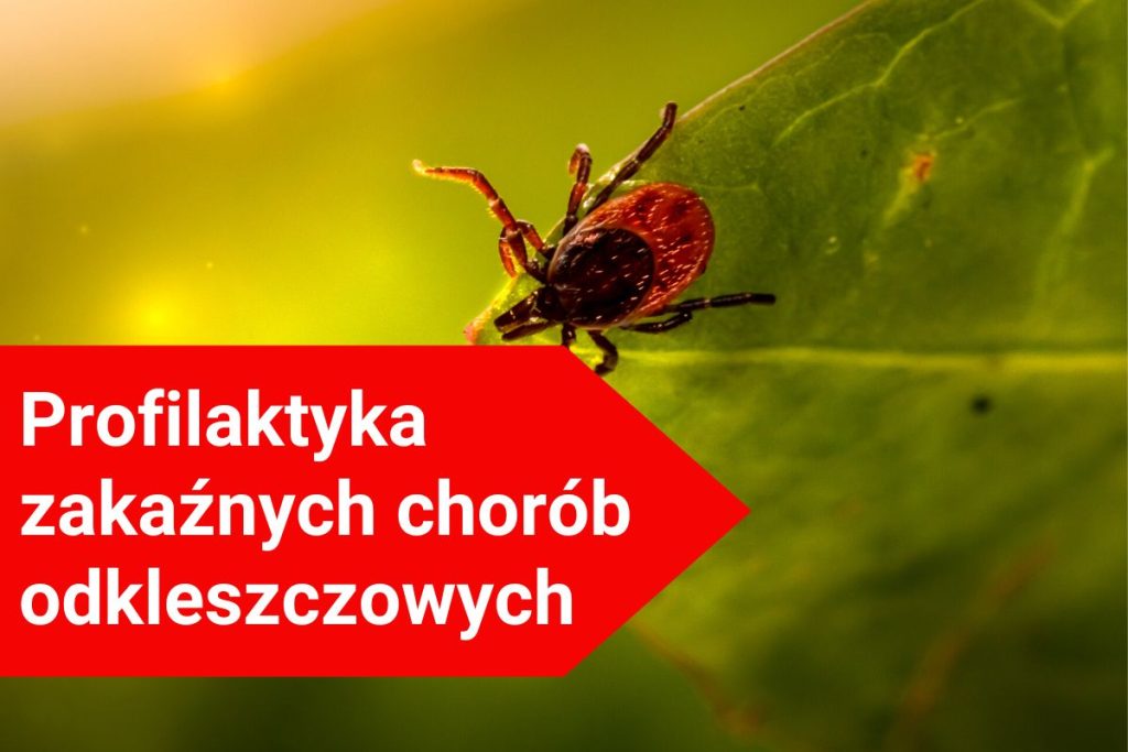Baner - Profilaktyka zakaźnych chorób odkleszczowych